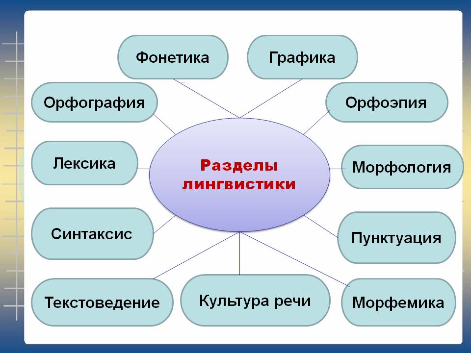 Какие стили руководства выделяет евдокимова м в применительно к образованию